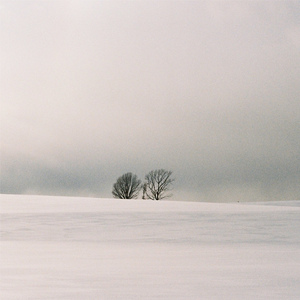 湘香女王深喉VK
